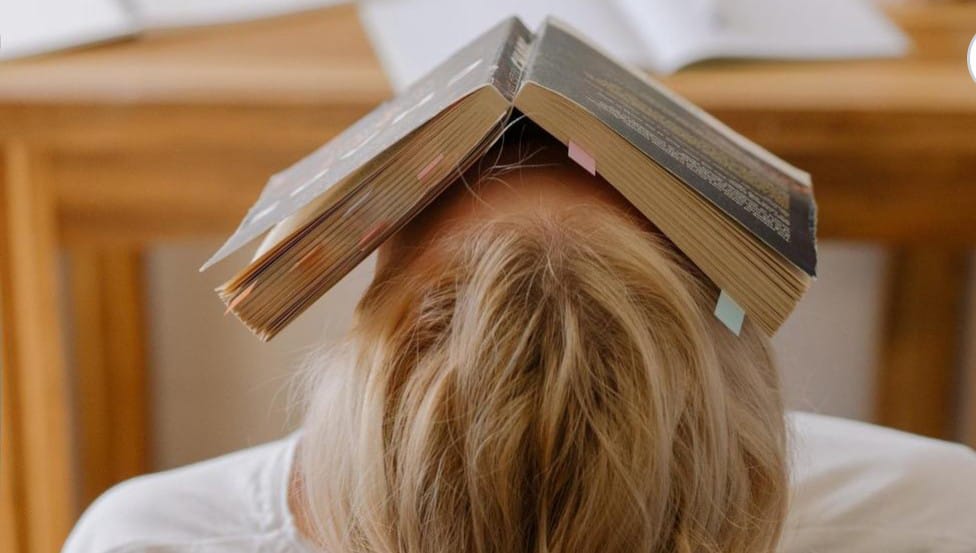 Università, record di abbandoni al primo anno e poche immatricolazioni, l’Italia del domani con pochi laureati