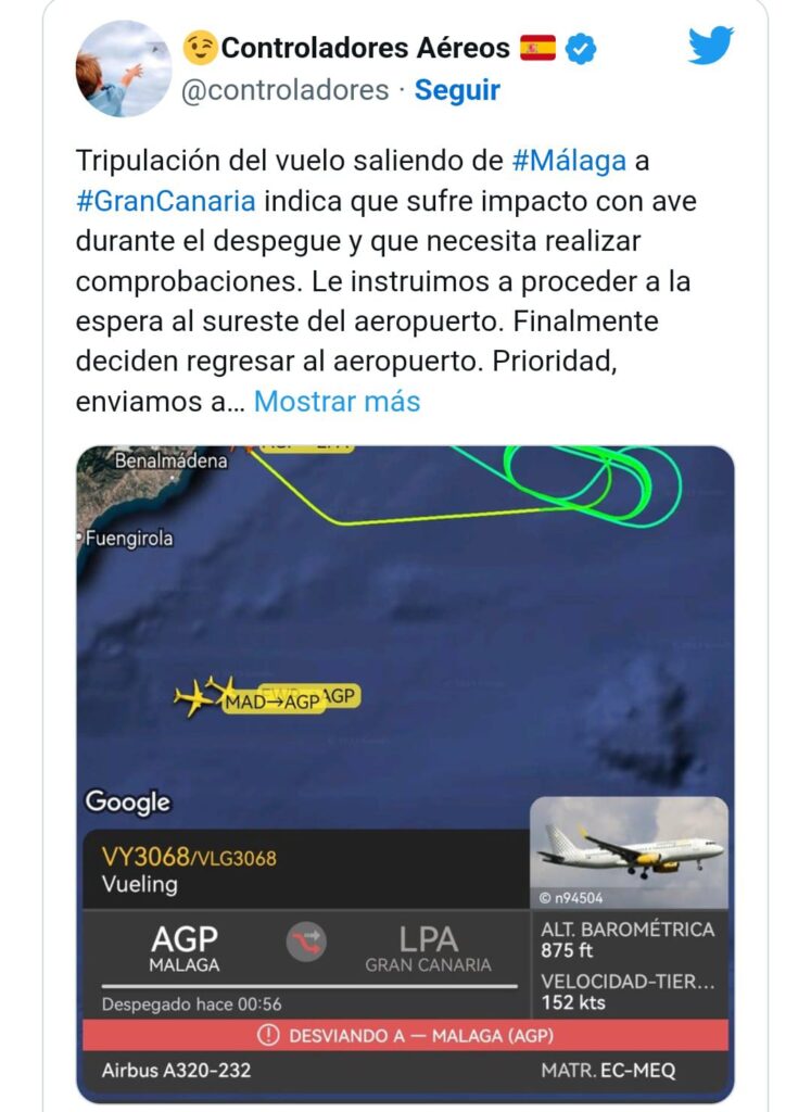 Un volo per le Isole Canarie viene colpito da un uccelloL’equipaggio ha segnalato l’incidente alla torre di controllo.