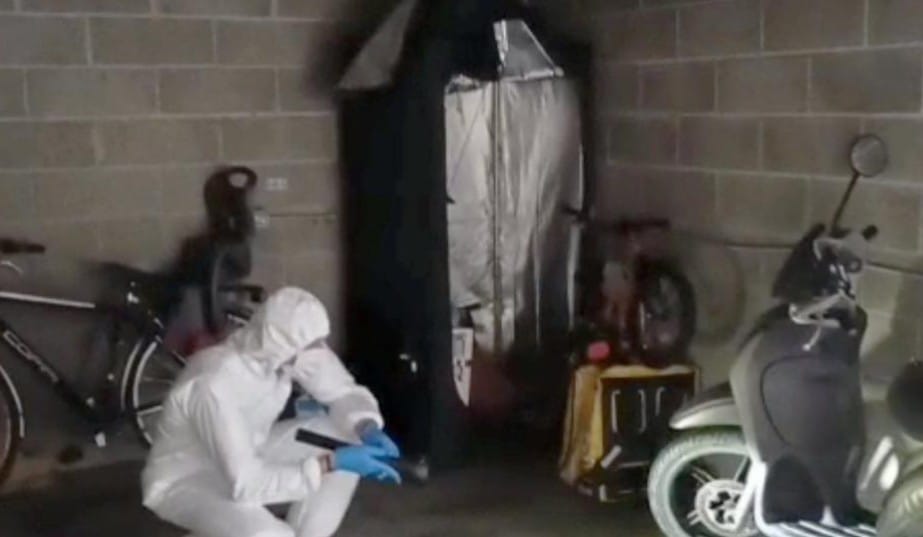 Omicidio Senago, l’agguato in salotto e i colpi di spalle: Giulia Tramontano non è riuscita nemmeno a urlare.