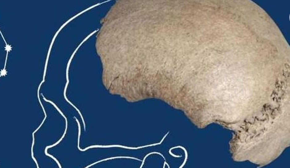 Dal Po spunta un cranio di sapiens del paleolitico. “Si chiama Acamar. Racconta le migrazioni dei nostri antenati”