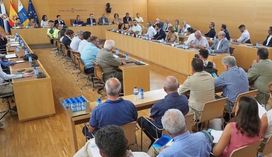 Il Cabildo di Tenerife istituisce dei gruppi di lavoro per promuovere misure contro il problema del traffico.