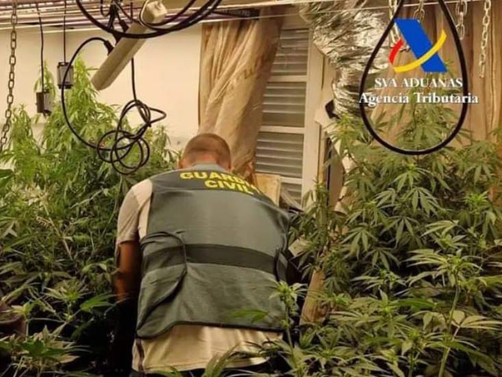 Lobo: l’operazione che ha portato all’arresto del “miglior estrattore di resina di hashish” di Tenerife.