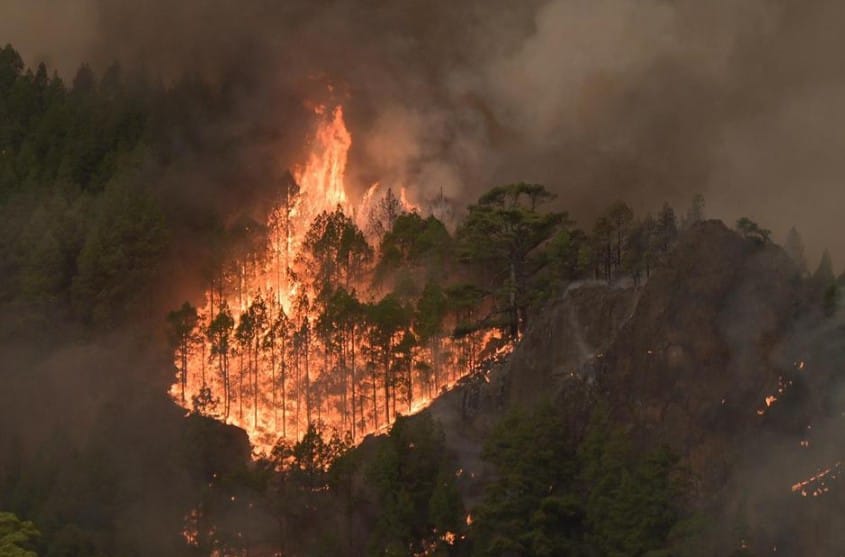 7.600 persone evacuate o confinate dall’incendio di Tenerife.