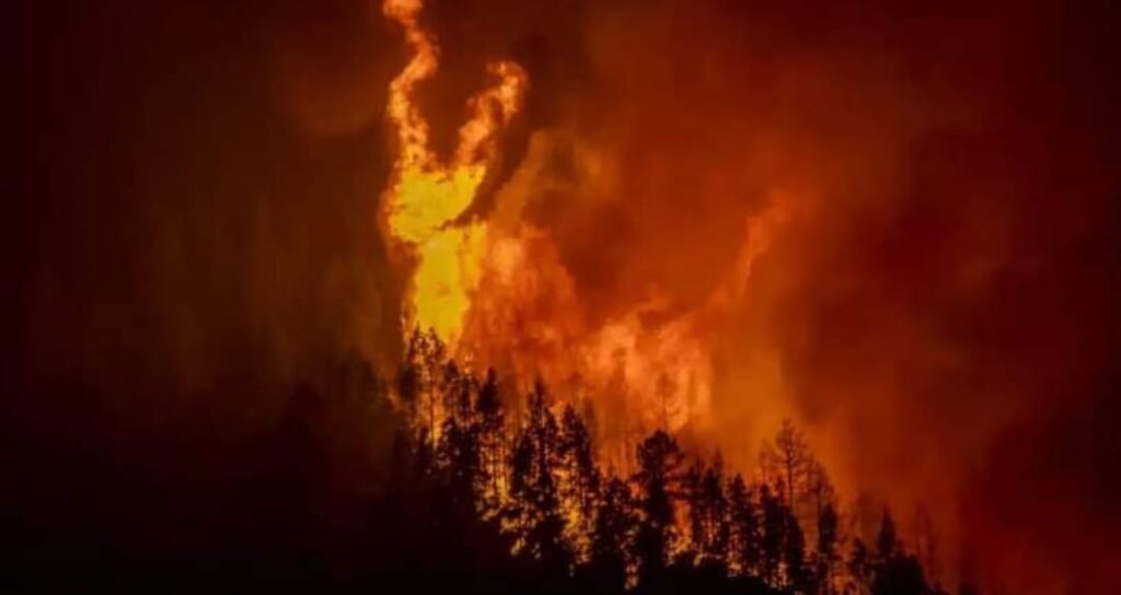 L’incendio non dà tregua all’Isola e ha già bruciato 5.000 ettari.