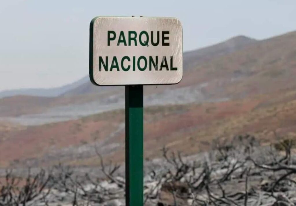 I danni irreparabili che le “lingue di fuoco” hanno causato nel Parco Nazionale del Teide.