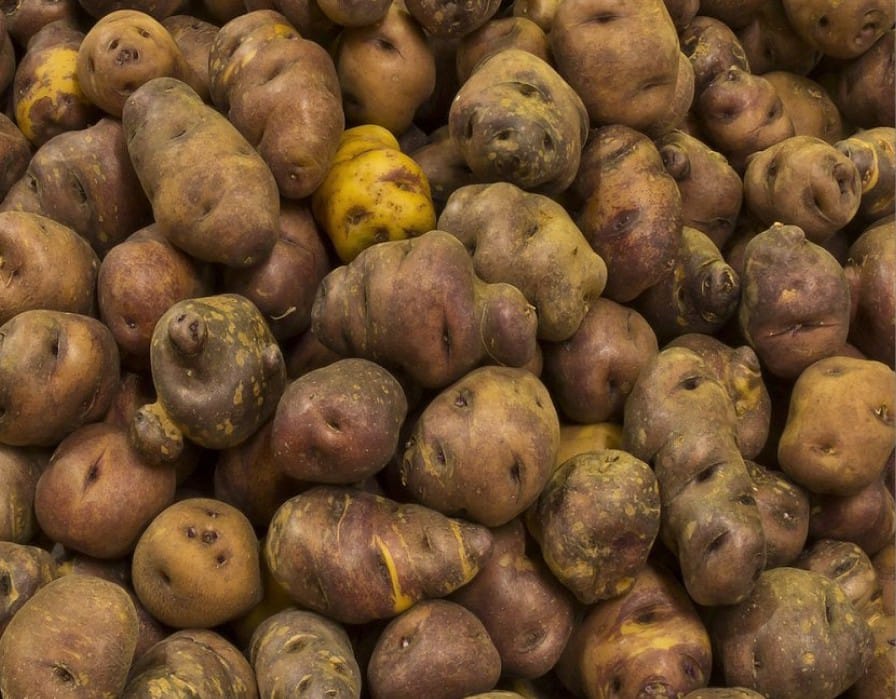 Il problema delle patate nelle Isole Canarie potrebbe essere in via di risoluzione.