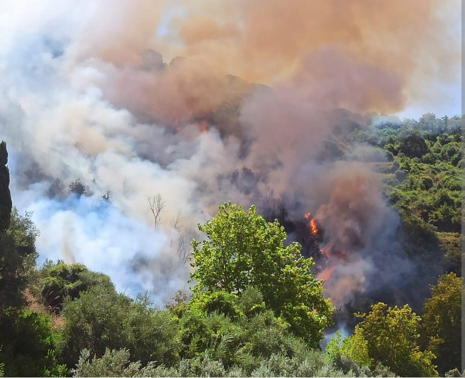 Il Governo delle Canarie dichiara il livello 2 dell’incendio di Tenerife, riattivato mercoledì.