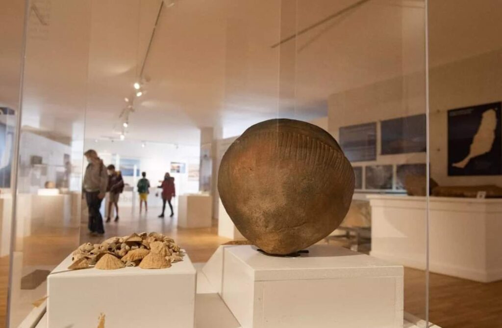 Il Museo Archeologico di Fuerteventura supera le 50.000 visite dalla sua apertura nel dicembre 2020.