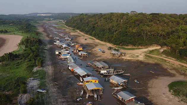 Amazzonia, fino al 47% della Foresta minacciato da cambiamenti climatici e deforestazione