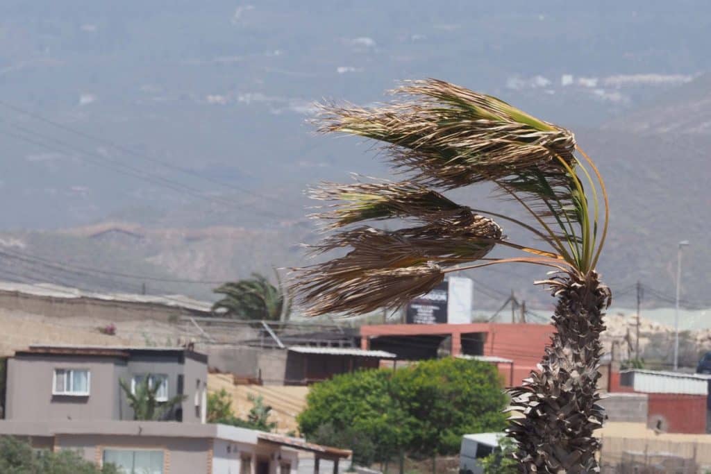 La Aemet avvisa: la tempesta Karlotta potrebbe portare forti piogge e vento a Tenerife