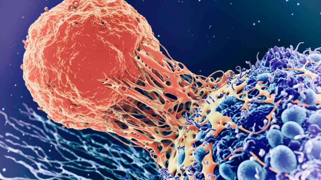 L’allarme della OMS: previsto un forte aumento dei casi di cancro in Europa entro il 2045