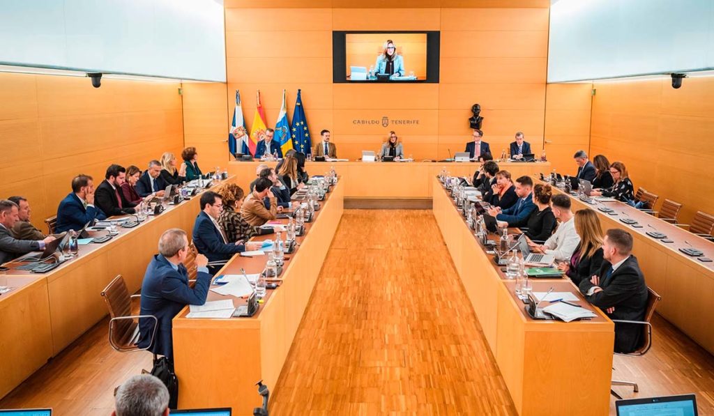 Due attiviste irrompono nel consiglio del Cabildo de Tenerife: “Stanno distruggendo le isole”: