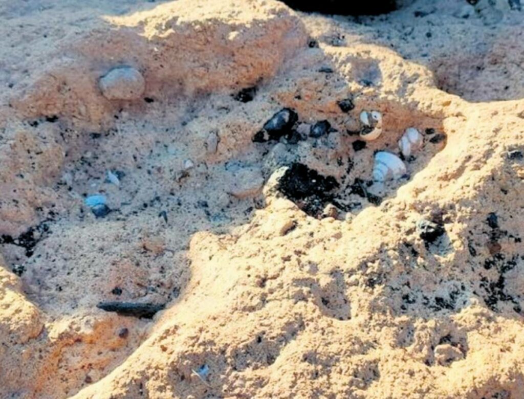 La Laguna protegge uno dei siti paleontologici più importanti di Tenerife