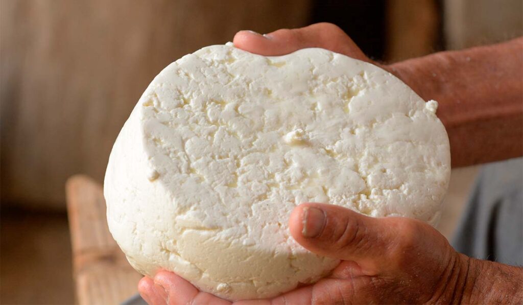 Questo fine settimana avrà luogo la Feria del formaggio canario: ecco tutte le informazioni