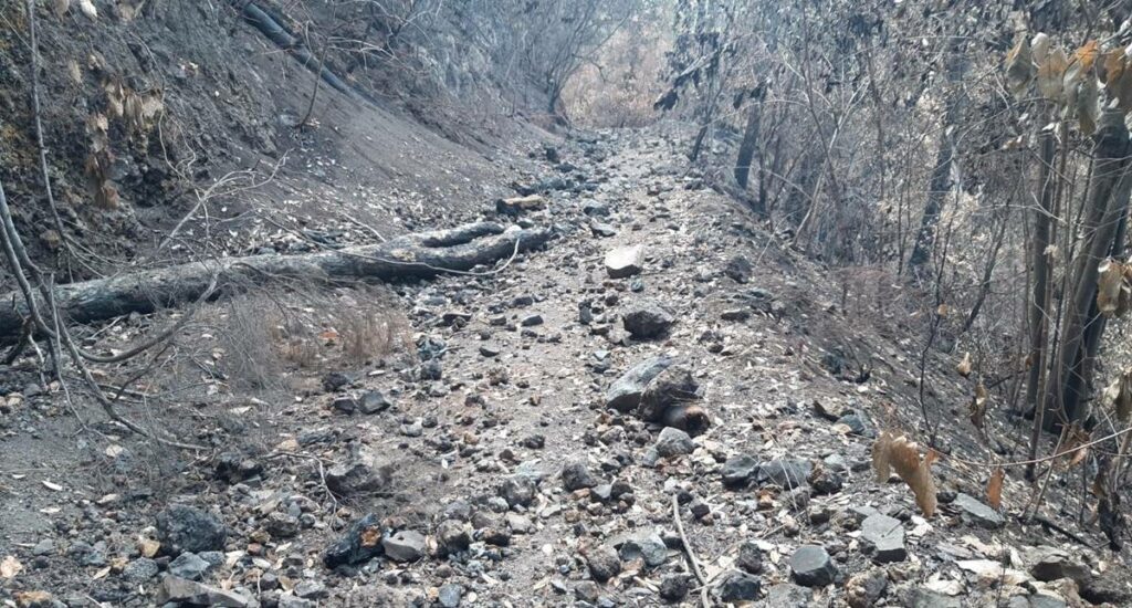 Uomo di 49 anni in manette come presunto responsabile di tre incendi a Tenerife