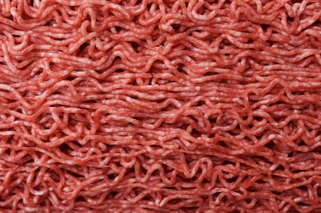 Regno Unito, via libera al consumo di carne coltivata per il cibo degli animali
