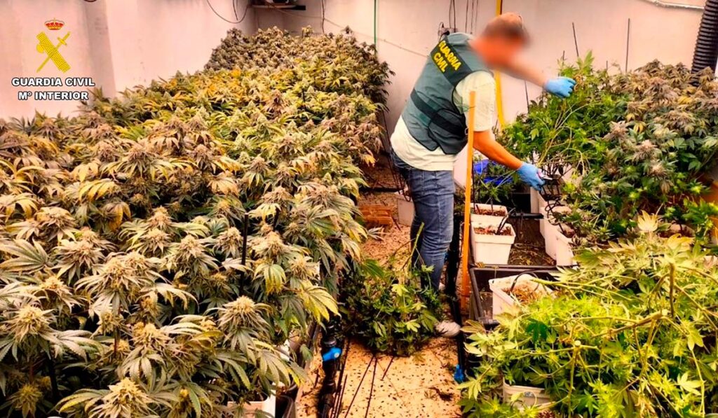Operazione della Guardia Civil, nel mirino 4 cannabis social club