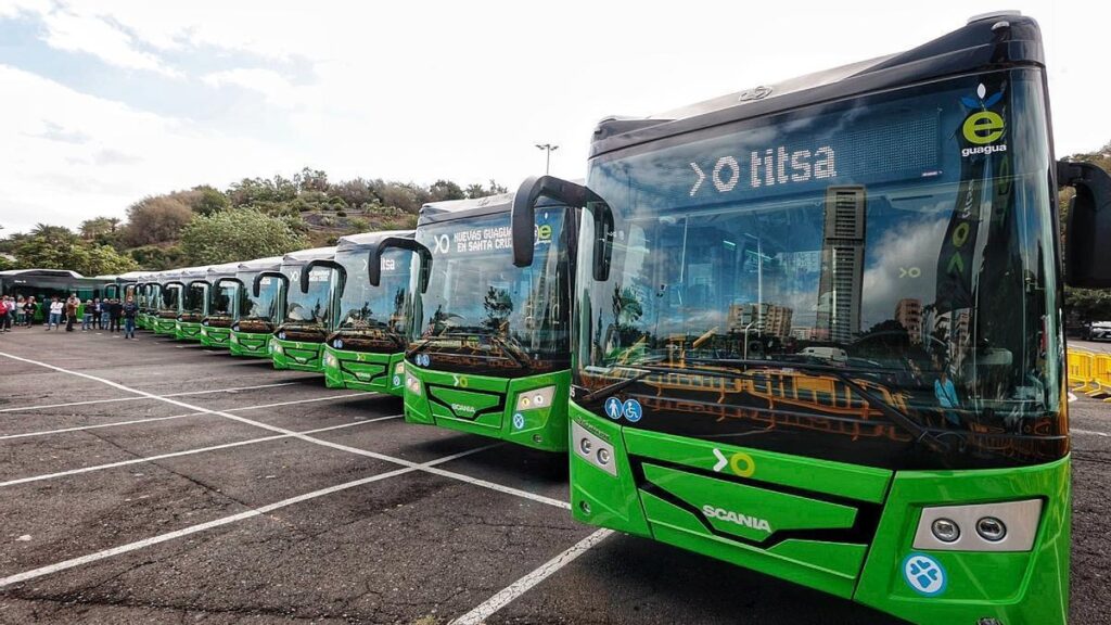 La presidente del Cabildo, Rosa Dávila afferma il trasporto pubblico gratuito è “irrinunciabile”