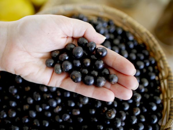 Ritarda l’invecchiamento ed è ideale per perdere grasso: tutto sul ‘superalimento’ di moda per la colazione