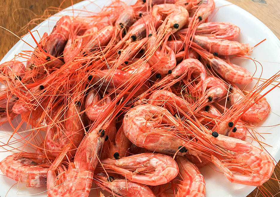 Un piatto tipico delle Isole Canarie: i piccoli “camarones cocidos”