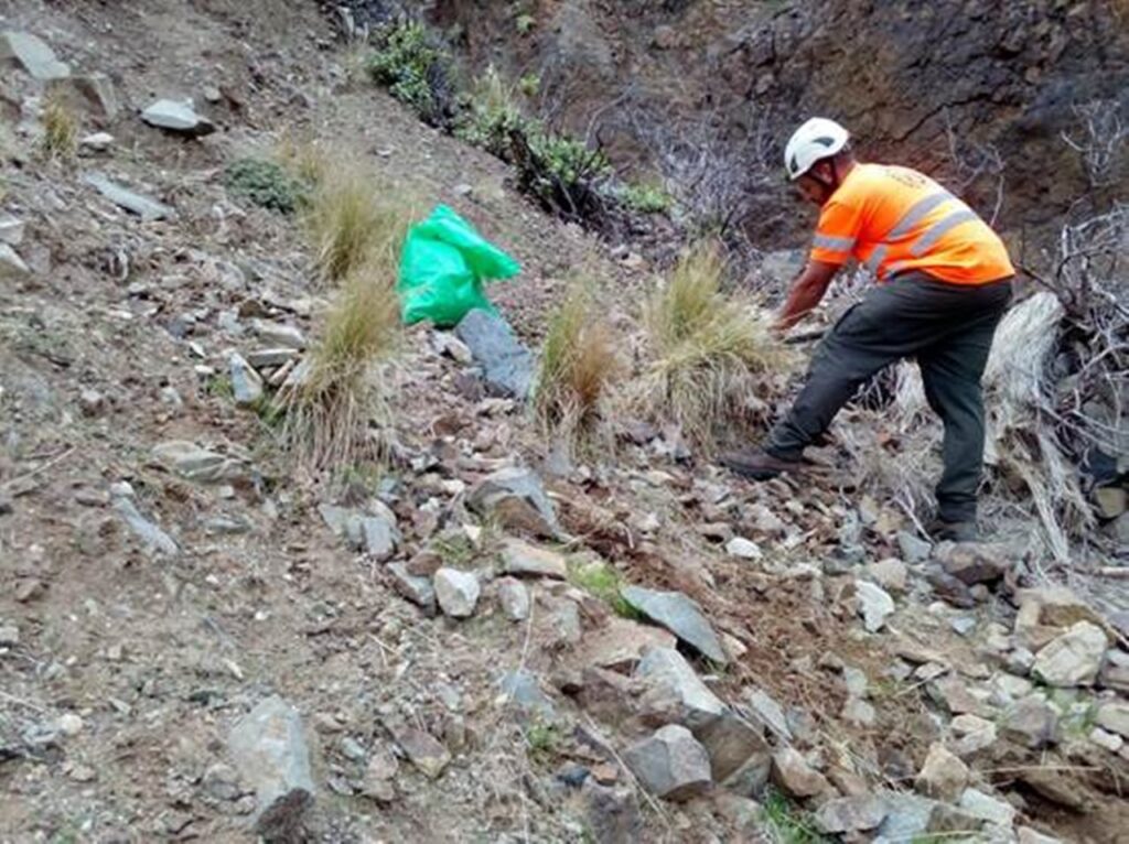 Tenerife: il Cabildo rimuove 12 tonnellate di piante invasore ad Anaga