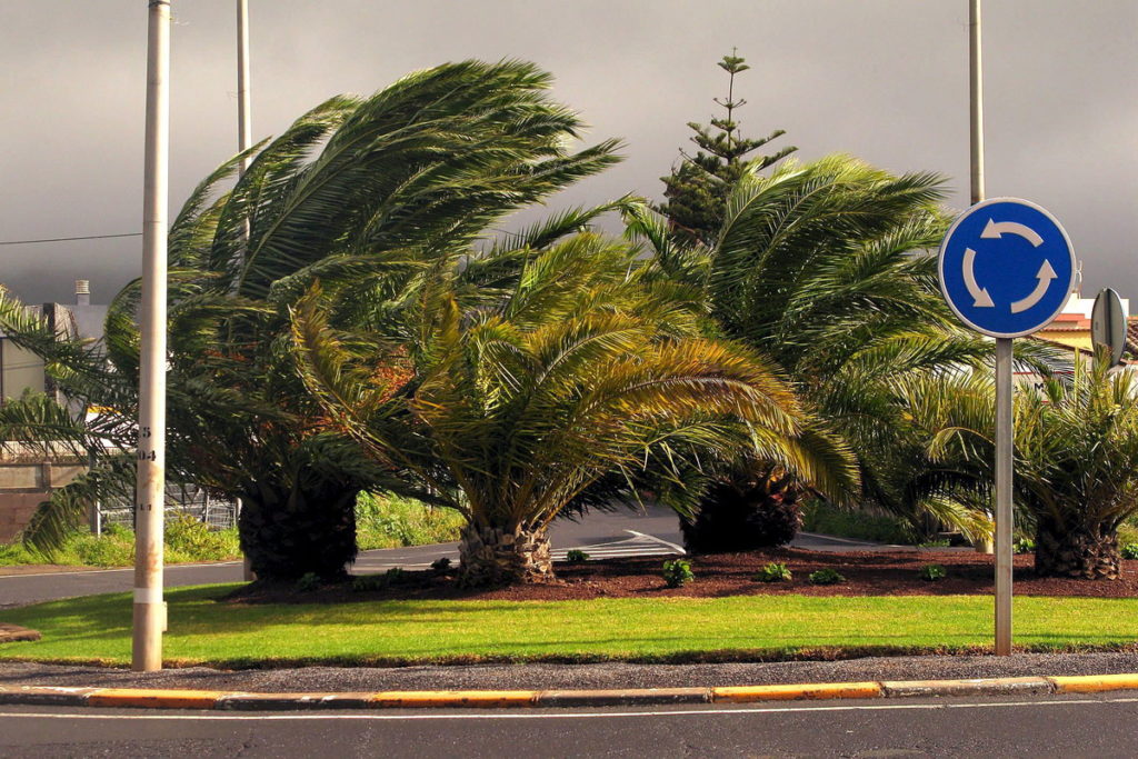 Stato di “allerta massima” per forte vento alle Canarie
