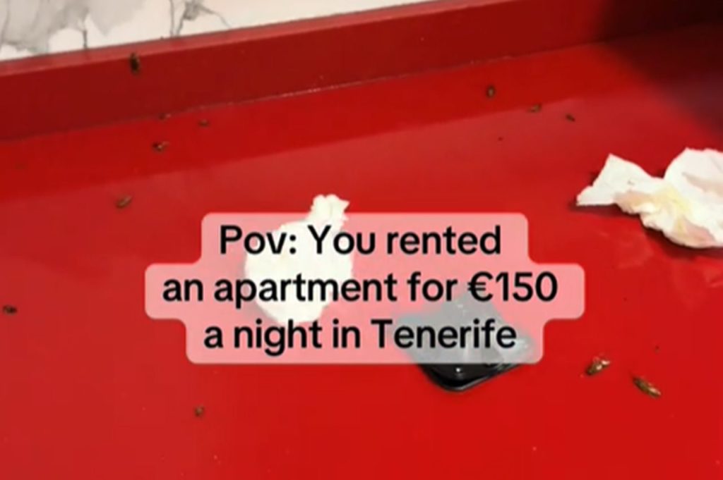 Affitta un appartamento per 150 euro a notte e scopre che è invaso di cucarache – VIDEO