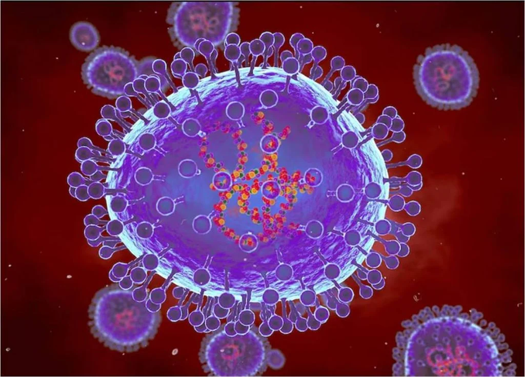 Hmpv, il virus che preoccupa la Cina: cos’è e come si trasmette. L’Oms: “Non è una nuova minaccia”