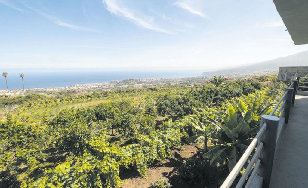 Gli ingegneri agronomi chiedono una migliore regolamentazione del suolo rurale nelle Canarie
