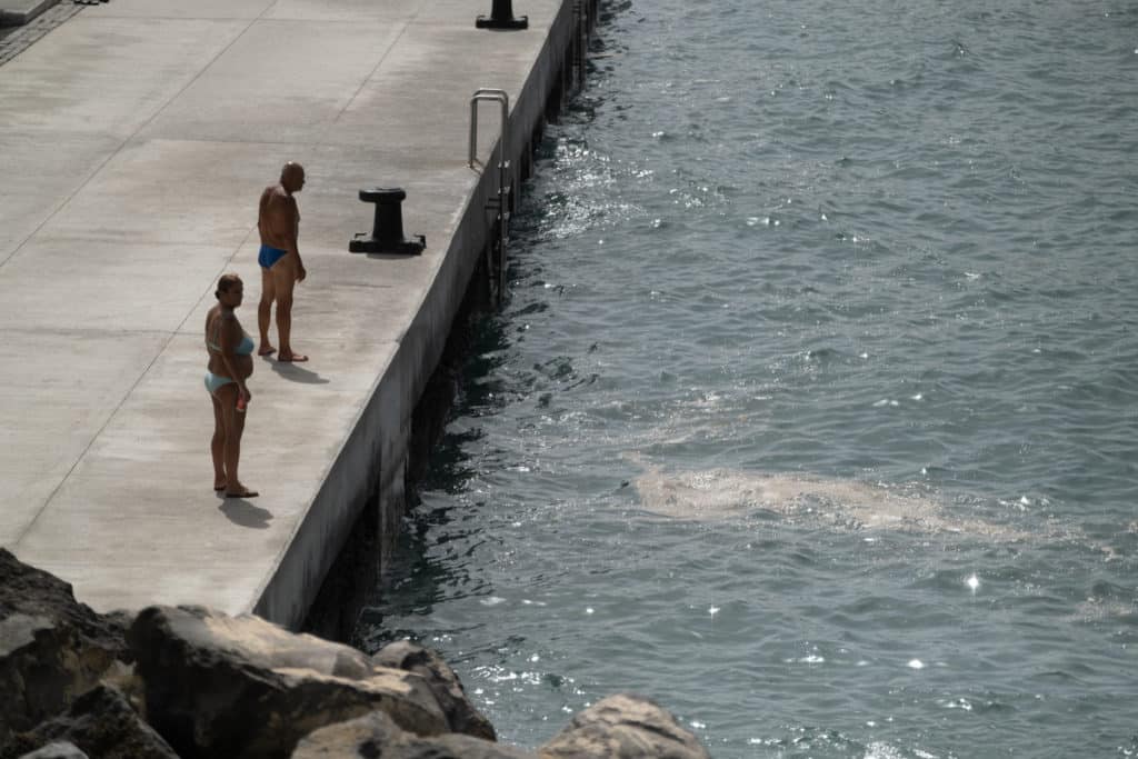 Pesci morti in una zona balneare di Tenerife: chiusa la spiaggia di El Bloque