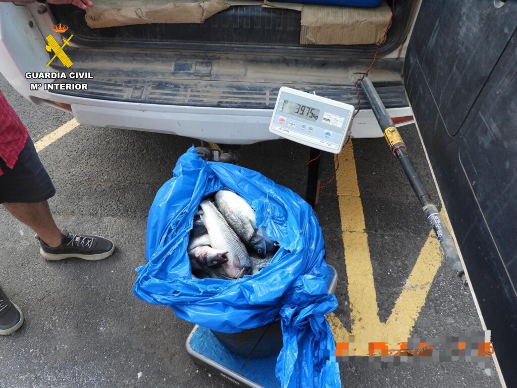 Cinque arresti per il furto continuato di spigole d’allevamento nel sud di Tenerife