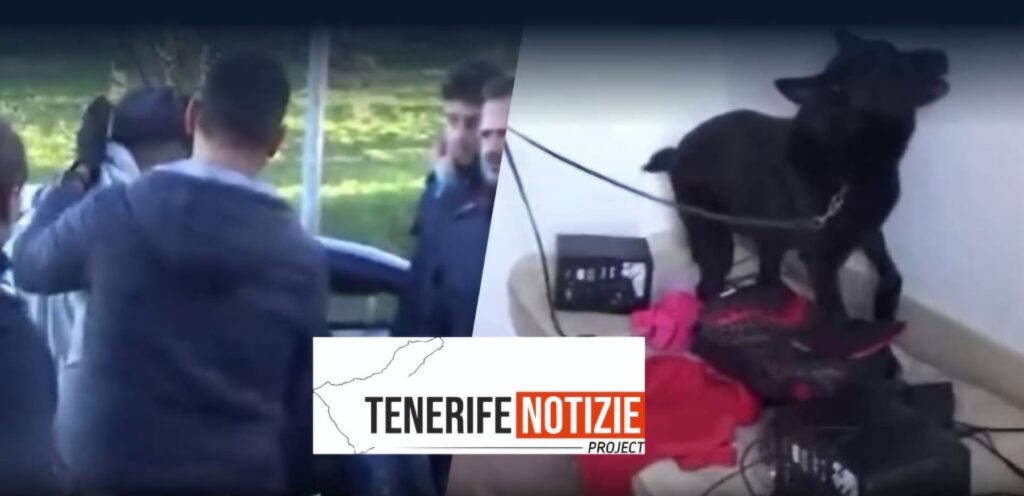 TRAFFICO DI DROGA, SEQUESTRO E TORTUTA