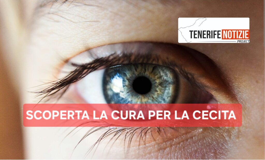 SCOPERTA LA CURA PER LA CECITA