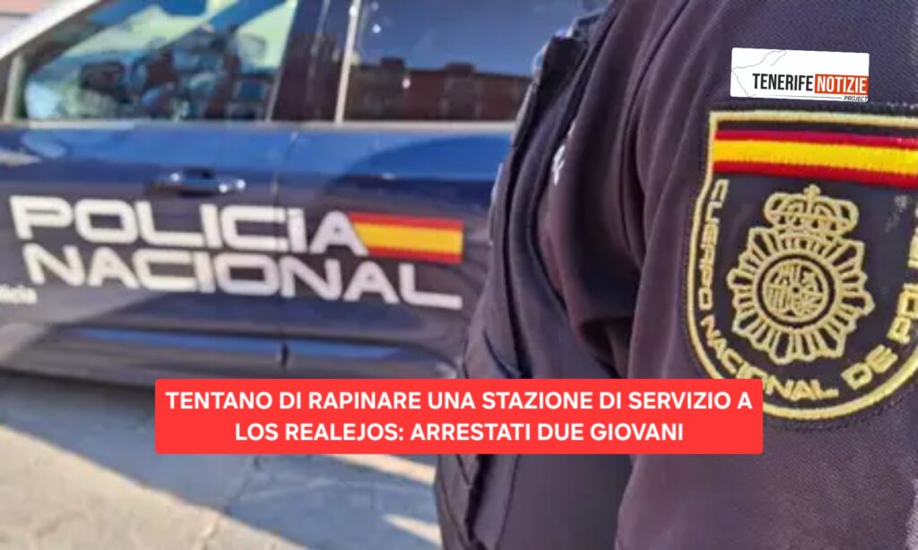 TENTANO DI RAPINARE UNA STAZIONE DI SERVIZIO A LOS REALEJOS: ARRESTATI DUE GIOVANI