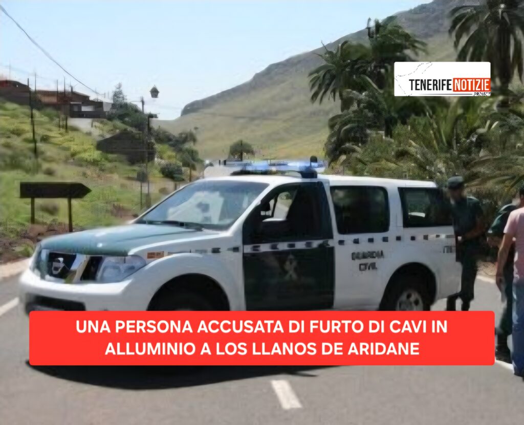 UNA PERSONA ACCUSATA DI FURTO DI CAVI IN ALLUMINIO A LOS LLANOS DE ARIDANE