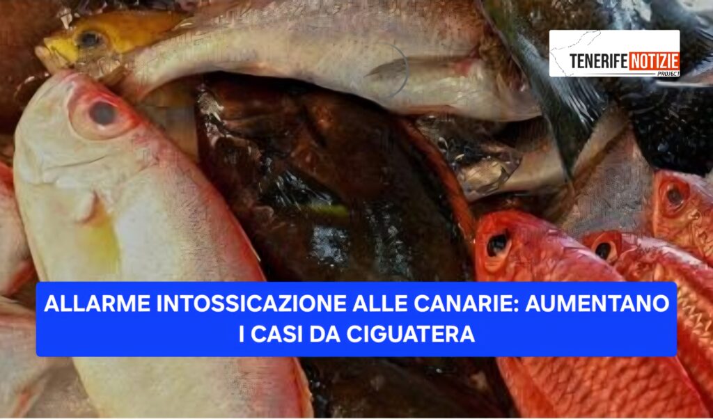 ALLARME INTOSSICAZIONE ALLE CANARIE: AUMENTANO I CASI DA CIGUATERA