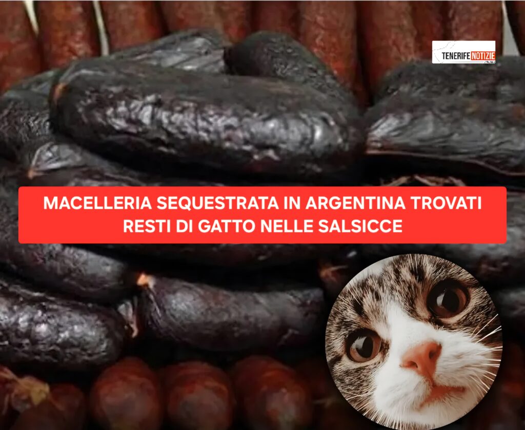 MACELLERIA SEQUESTRATA IN ARGENTINA TROVATI RESTI DI GATTO NELLE SALSICCE